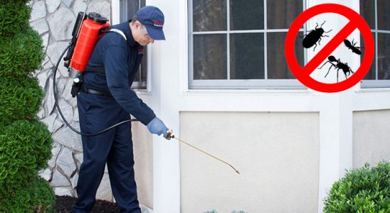 Kuyucak Bit İlaçlama böcek ilaçlama ve haşere kontrolü — ilaclama-tr.com